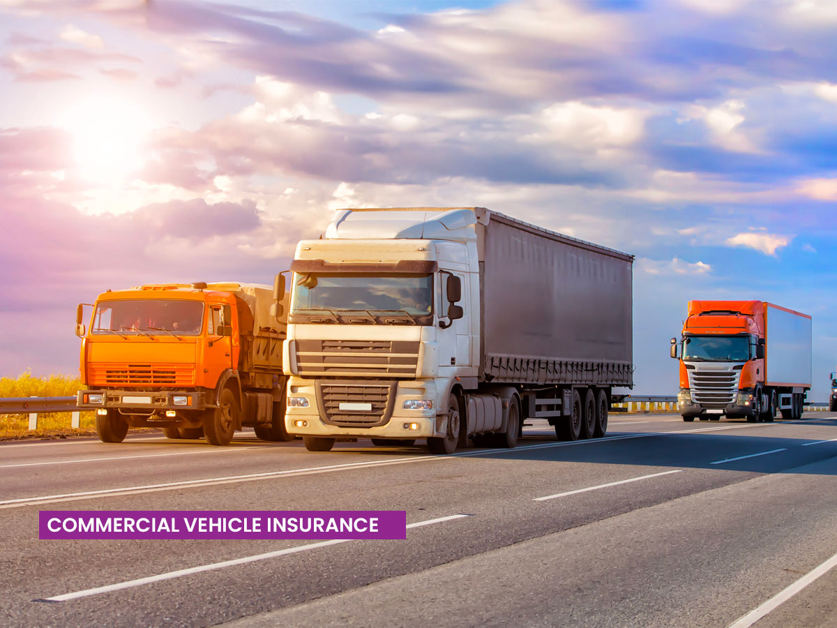 Insurance Services
